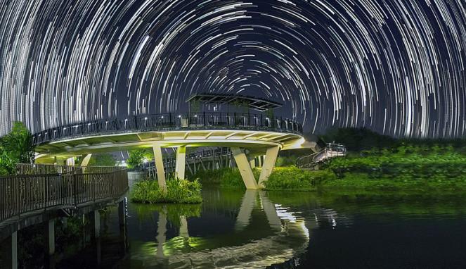 Fotografer Tangkap Pergerakan Bintang di Singapura