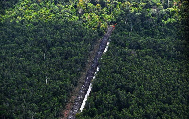 &#91;MIRIS GAN&#93; Ini Dia Wajah-wajah Hutan KALIMANTAN Yang Sesungguhnya !!