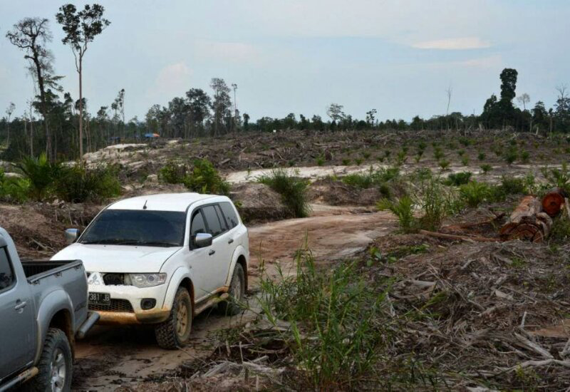 &#91;MIRIS GAN&#93; Ini Dia Wajah-wajah Hutan KALIMANTAN Yang Sesungguhnya !!