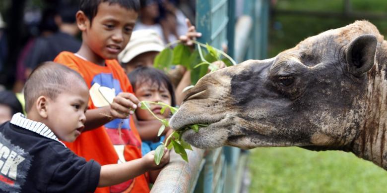 &#91;MIRIS GAN&#93; Rela Telanjang Demi Mendapatkan Makanan