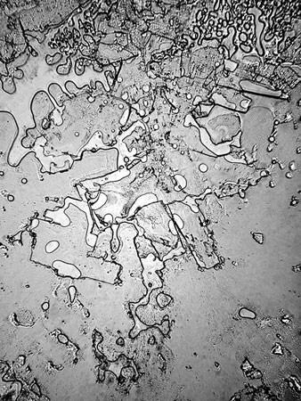 Bentuk Air Mata Jika Dilihat Pada Mikroskop