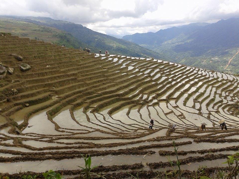 Kampungku Surgaku