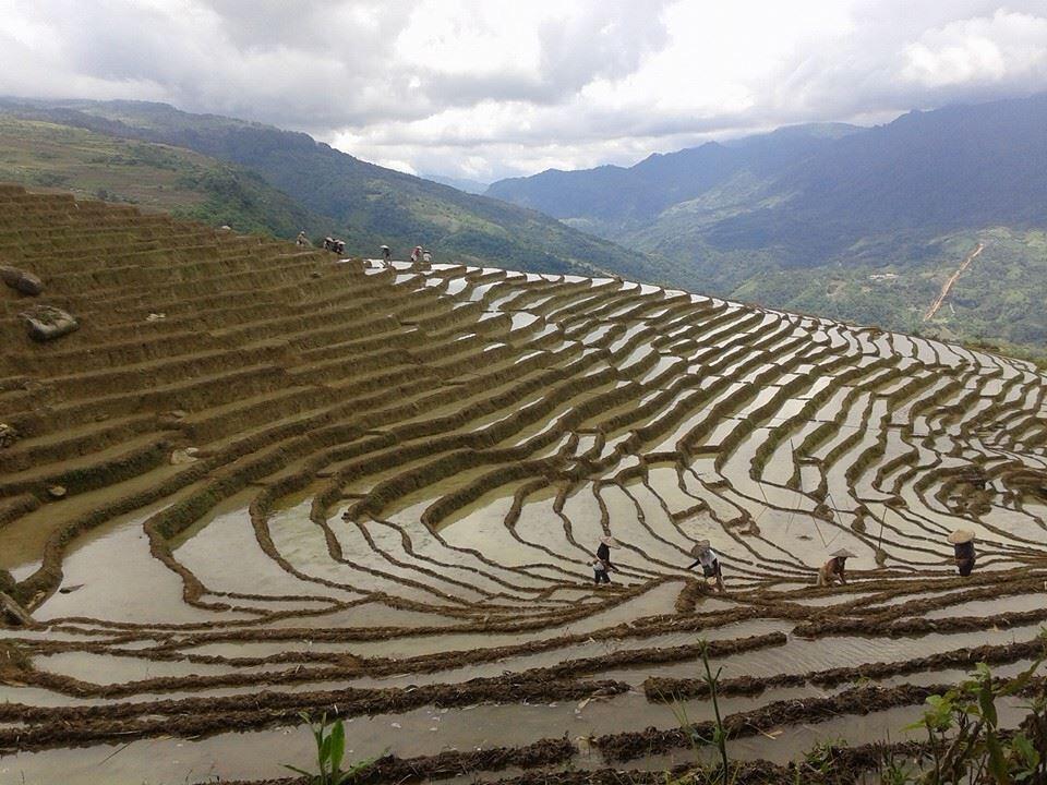 Kampungku Surgaku