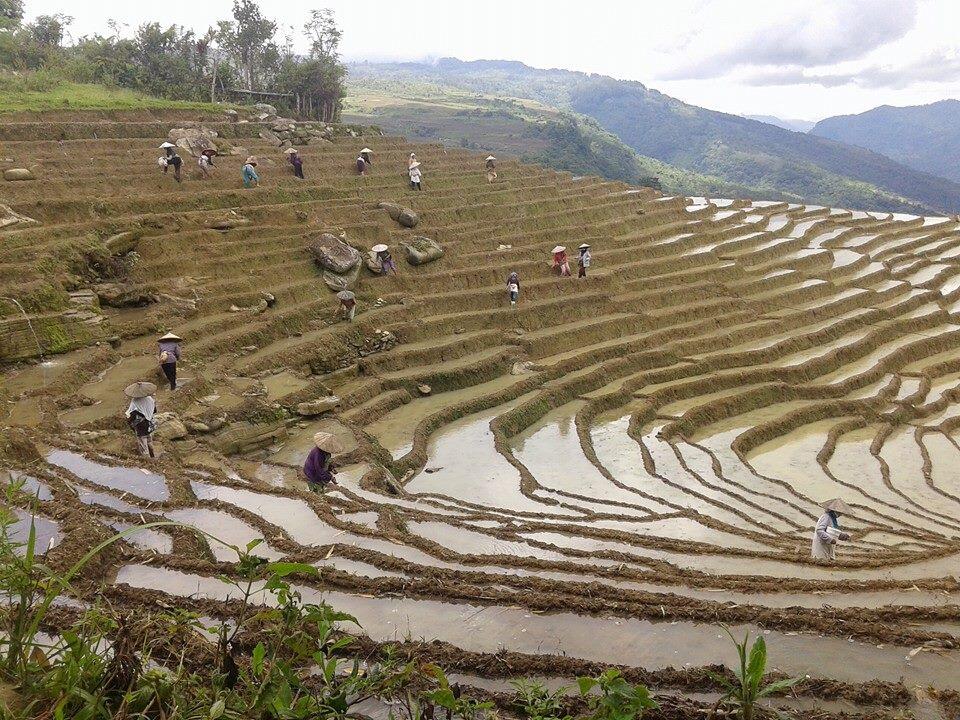 Kampungku Surgaku