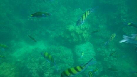 &#91;FR&#93;Phuket 04-09 May 2014