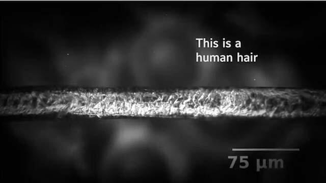 inilah komik terkecil di dunia, di buat di atas sehelai rambut manusia