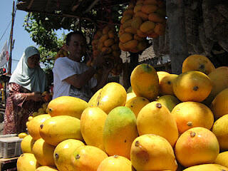 Mangga Podang, Buah Mangga Khas Kediri Jawa Timur