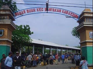 Mangga Podang, Buah Mangga Khas Kediri Jawa Timur