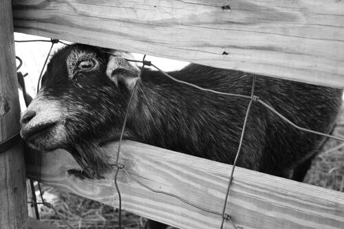 10 Kisah Perampokan Konyol di Dunia (Ga' baca nyesel gan, true story !)