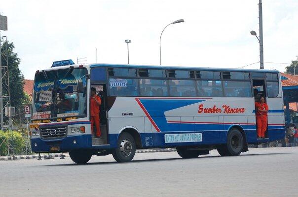 BUS TERCEPAT DI INDONESIA (pecinta bus masuk)