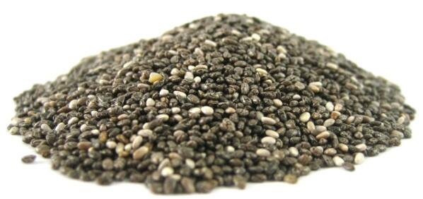 ADA YANG UDAH TAU CHIA SEED???