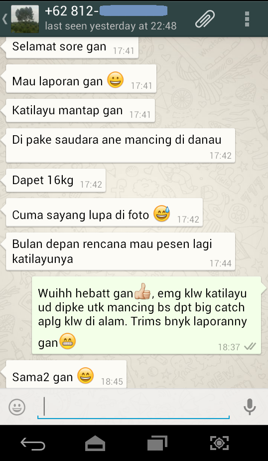 .:|| Batu Blue American Ster ||:.