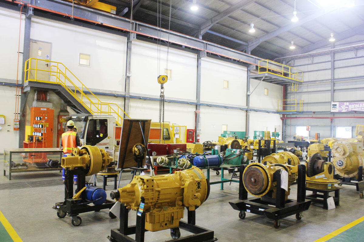 Wah! Ternyata Ada Institut Yang Dibuat Oleh Freeport di Papua