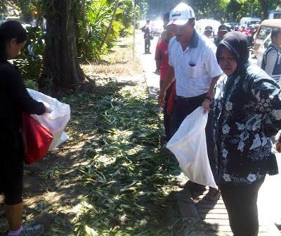 Akibat W*lls Ice Cream Day, Taman Bungkul Surabaya Rusak. Bu Risma Ngamuk 