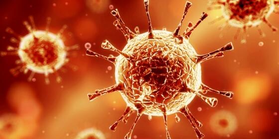 Mengenal Tentang Virus MERS-CoV