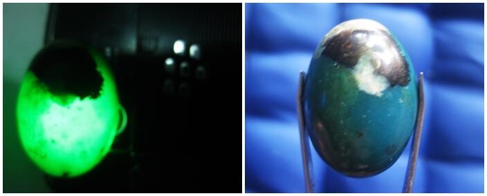 Natural Bacan (Chrysocolla in Chalcedony) Murah - Jumbo - Mumbul - Plonk