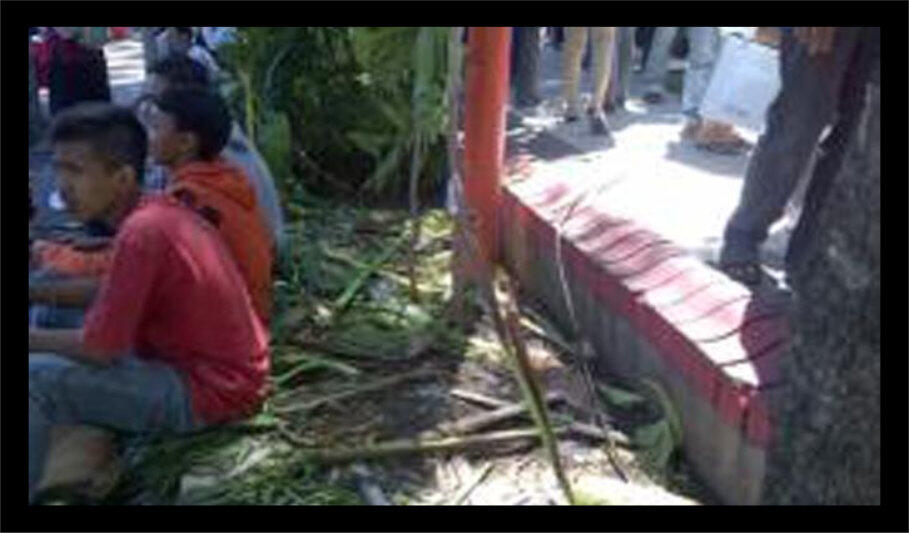 5 Tanaman Langka Rusak Berat akibat Event Bagi-bagi Es Krim