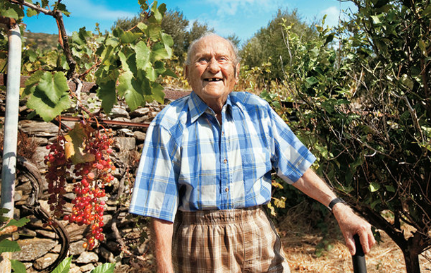 11 Fakta Unik [UPDATE]