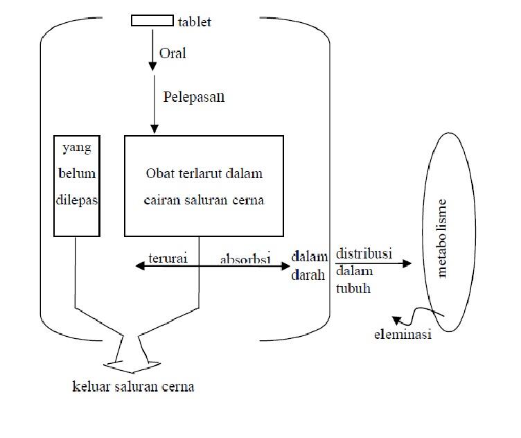 Cara Kerja Obat Ditubuh (Wajib Baca)