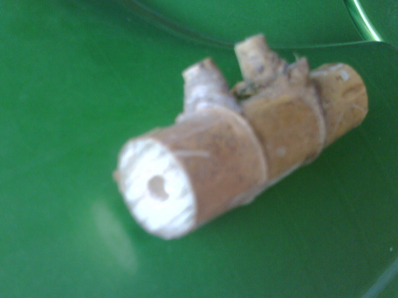 BAMBU PETUK / PRiNG PETUK ( KERAWANG BARAT, GALUH MAS )