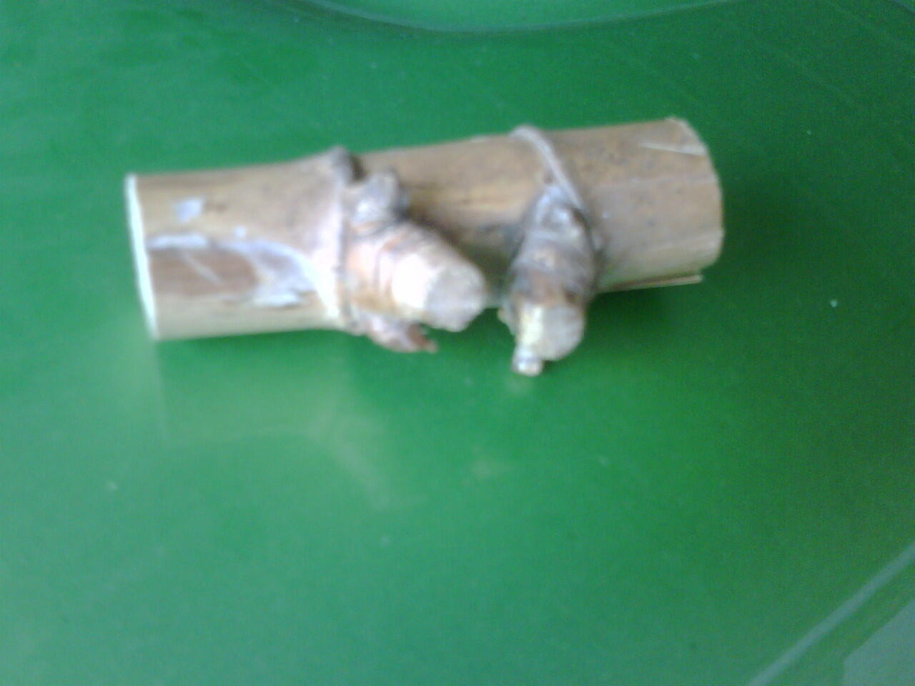 BAMBU PETUK / PRiNG PETUK ( KERAWANG BARAT, GALUH MAS )