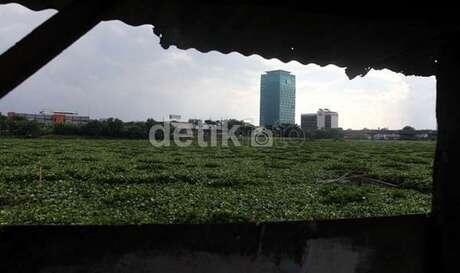 Transformasi Waduk Ria Rio: Dari Lautan Enceng Gondok Jadi Taman Asri