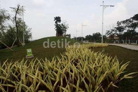 Transformasi Waduk Ria Rio: Dari Lautan Enceng Gondok Jadi Taman Asri