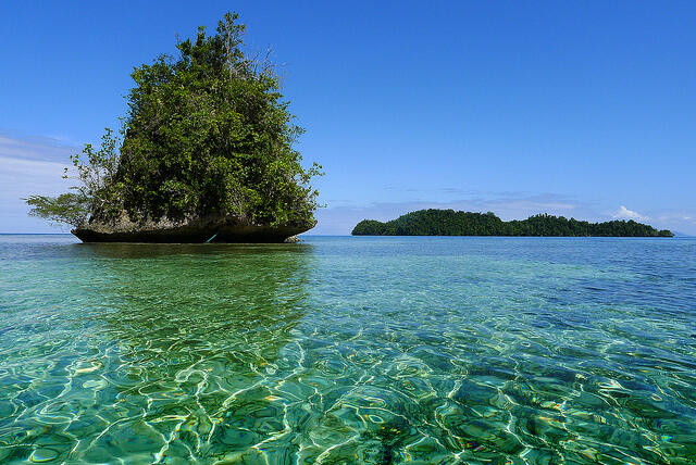 .:: Togian Island Carribean From Indonesia :matabelo ::.