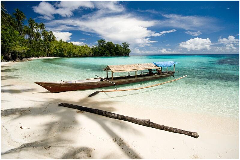 .:: Togian Island Carribean From Indonesia :matabelo ::.