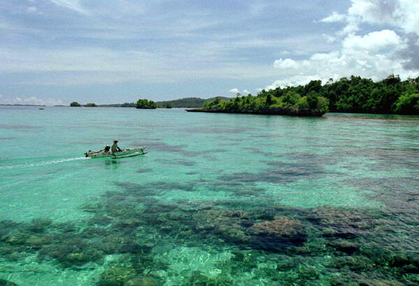 .:: Togian Island Carribean From Indonesia :matabelo ::.
