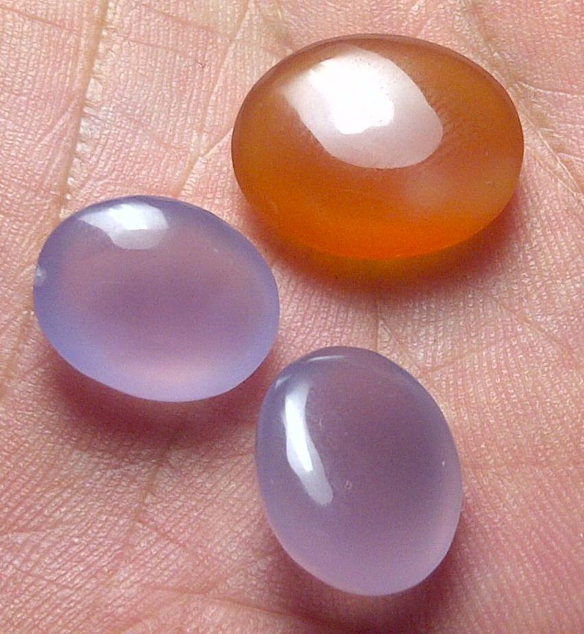 2 LAVENDER BATURAJA DAN 1 GOLDEN KELADEN PACITAN SIAP DIRING