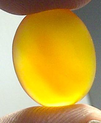 2 LAVENDER BATURAJA DAN 1 GOLDEN KELADEN PACITAN SIAP DIRING