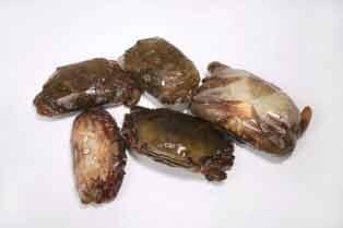 &#91;ASK, DISCUSS, and SHARE&#93; Frozen Seafood