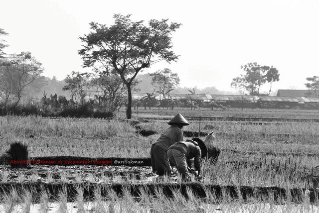 Trip Ala Ndeso ke Borobudur