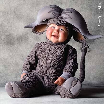 Saat Bayi Menyamar Menjadi Hewan Lucu