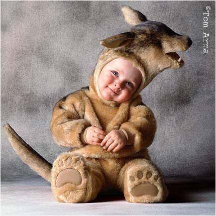 Saat Bayi Menyamar Menjadi Hewan Lucu