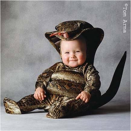 Saat Bayi Menyamar Menjadi Hewan Lucu