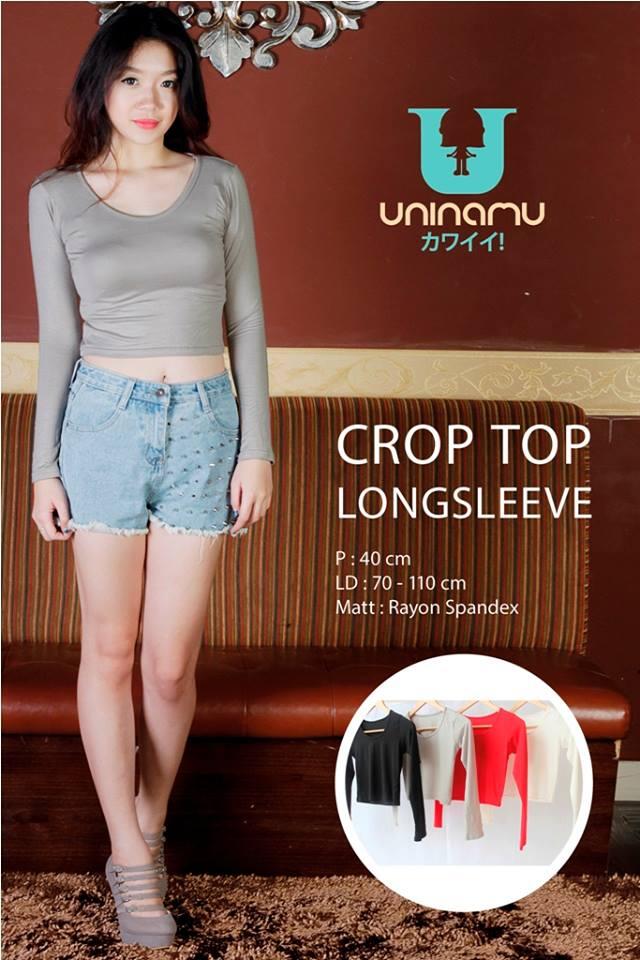 Crop Top Longsleeve Grey
