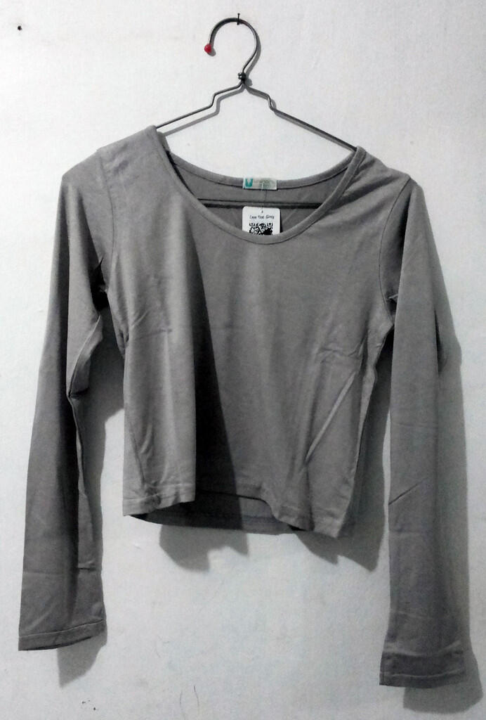 Crop Top Longsleeve Grey