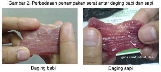 Ni Gan/Sis Yang Takut Ketipu 6 Cara Membedakan Daging Sapi dengan Daging Babi(+pic)