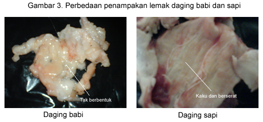 Ni Gan/Sis Yang Takut Ketipu 6 Cara Membedakan Daging Sapi dengan Daging Babi(+pic)