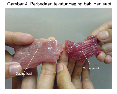 Ni Gan/Sis Yang Takut Ketipu 6 Cara Membedakan Daging Sapi dengan Daging Babi(+pic)