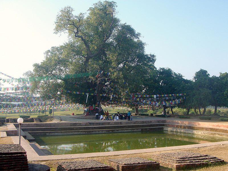 &#91;WAISAK&#93; Taman Lumbini Tempat Lahir Siddharta Gautama
