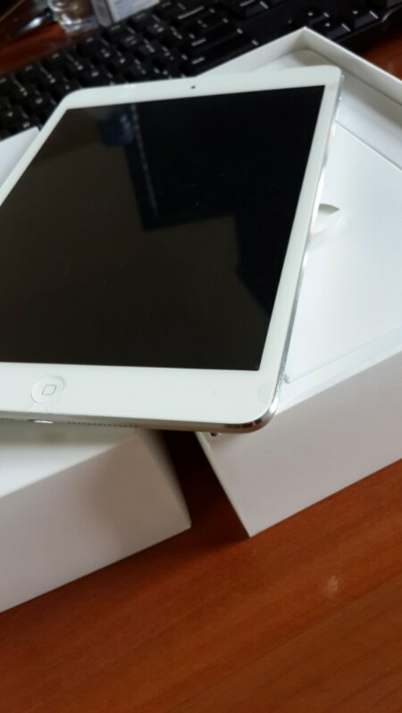 Ipad Mini 16Gb Wifi + Cell