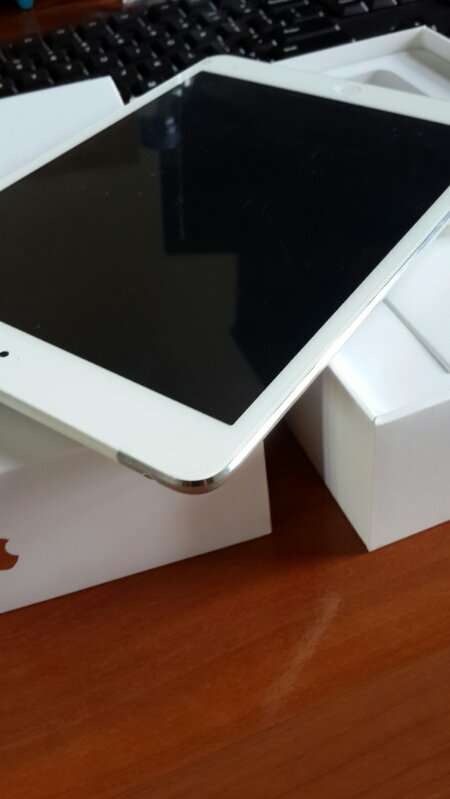 Ipad Mini 16Gb Wifi + Cell