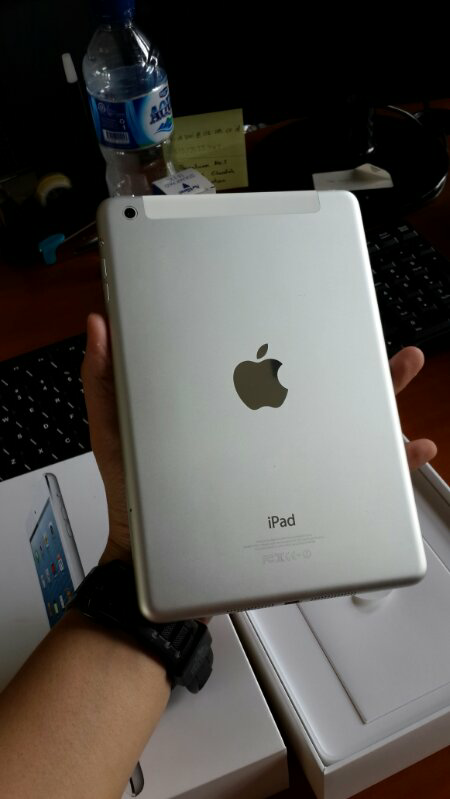 Ipad Mini 16Gb Wifi + Cell