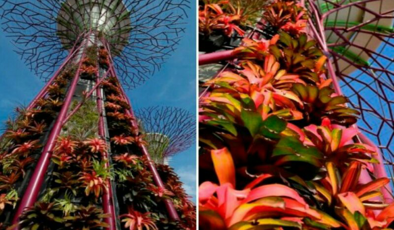 &#91;GARDEN BY THE BAY SINGAPORE&#93; Sebuah Konsep Green Desain Yang Menakjubkan !!