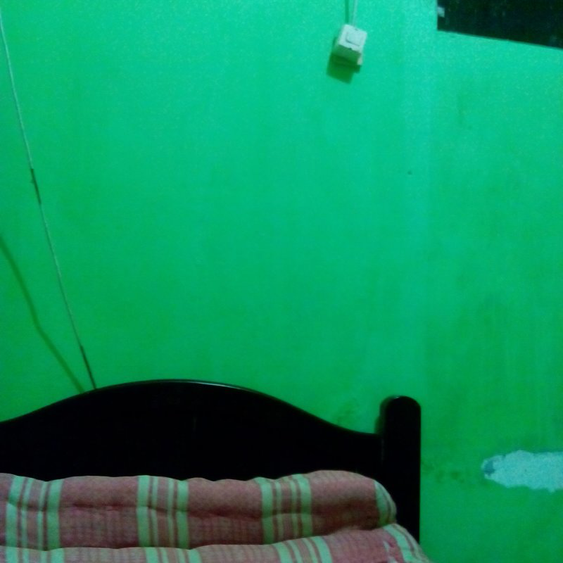 Sesepuh tolong dilihat isi kamar ane