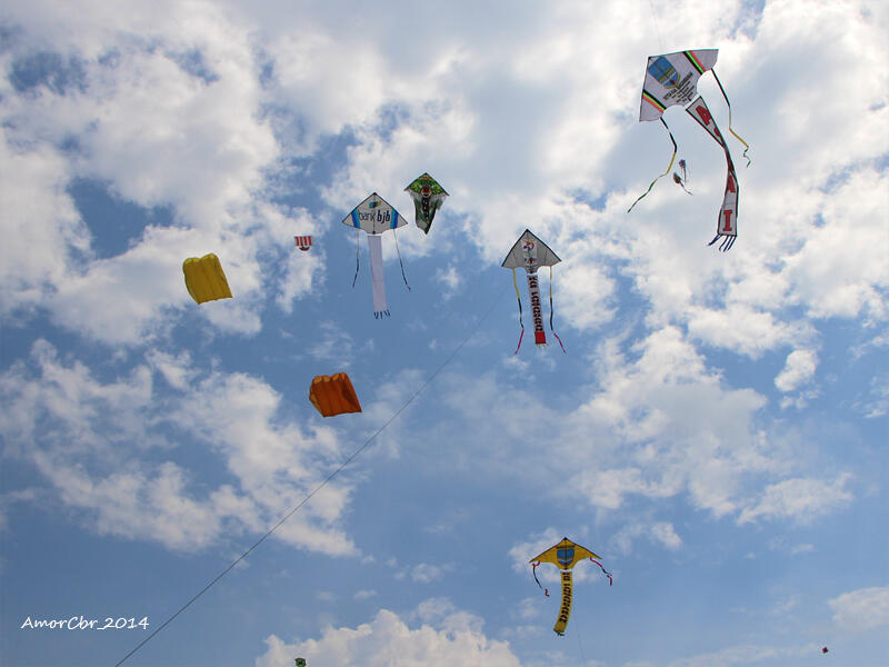 International Kite Festival 2014 at Pangandaran East Beach