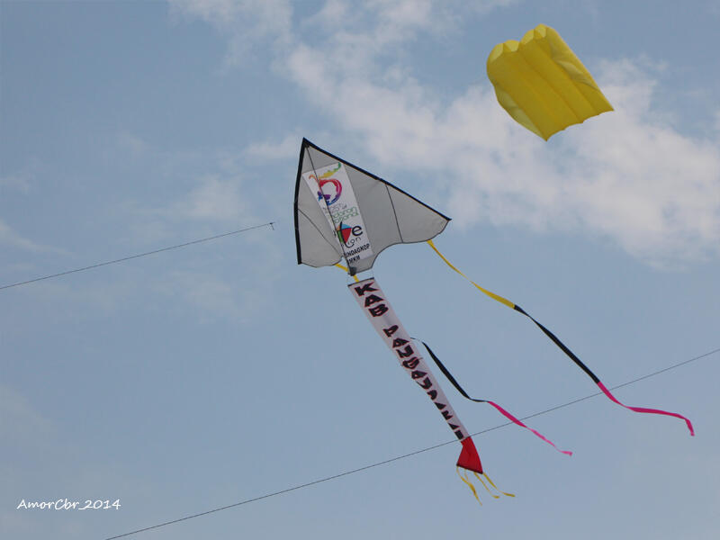 International Kite Festival 2014 at Pangandaran East Beach